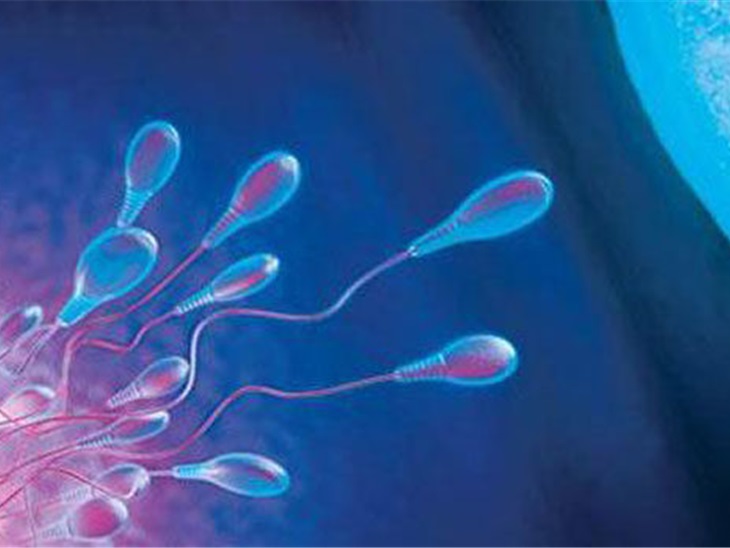 Servizio | Inseminazione intrauterina omologa
