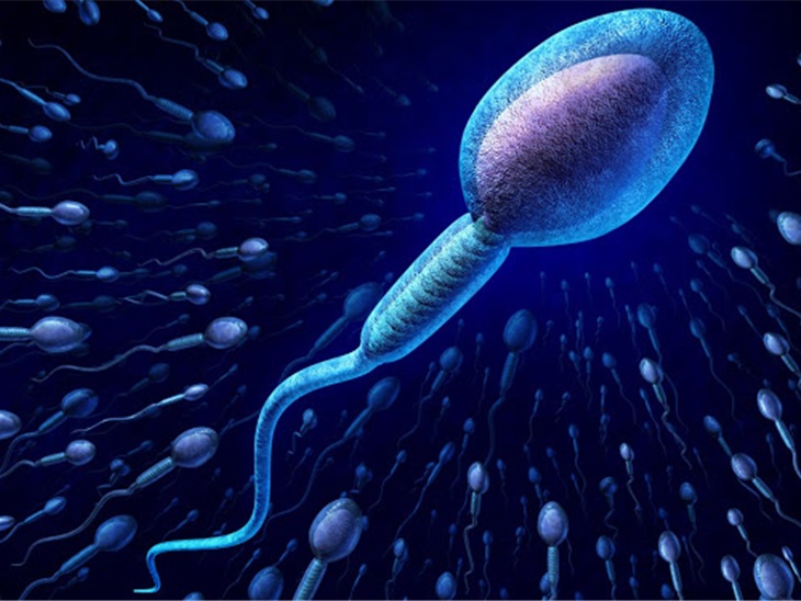 Test di frammentazione del DNA spermatico